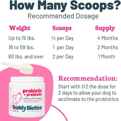 Probiotic + Prebiotic Powder for Dogs – 7 Probiotic Strains with FOS, 5 Billion CFU