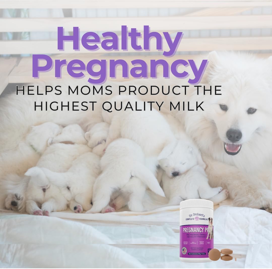 Dr Orchards Pregnancy Pro Dog Prenatal Vitamins - Premium Dog Supplement for Pregnancy, Prenatal + Postnatal, Lactation and Newborn Health Support, 90 Ct - görsel 2