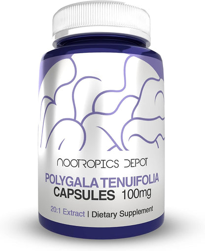 Nootropics Depot Polygala Tenuifolia Capsules | 100mg | 90 Capsules | 20:1 Extract | Yuan Zhi | Supports Cognitive Function, Learning and Memory | Helps Maintain Healthy Stress Levels | Adaptogen Supplement