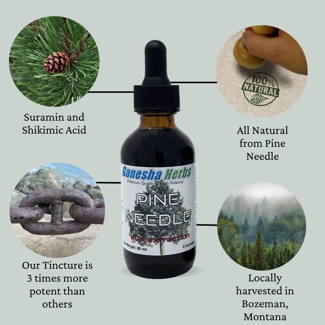 Ganesha Herbs Pine Needle Liquid Tincture – Dual Extract, 2 fl oz - görsel 2