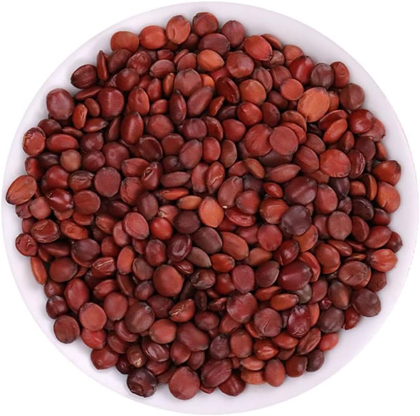 Zizyphus Jujuba, Semen Ziziphi Spinosae, Spine Date Seed – 500g (approx. 1.10 lb) - görsel 1