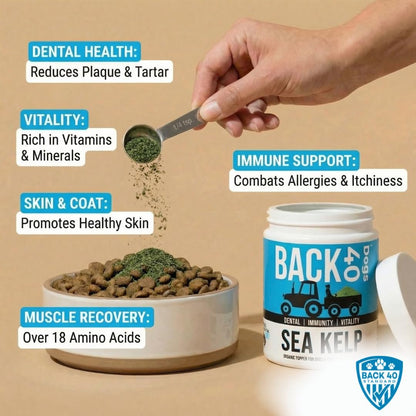 Organic Kelp Powder for Dogs, Dried Sea Kelp Supplement for Normal Thyroid Function, Dental Hygiene, Immune Support, Digestion, Skin & Coat – Iodine Rich – Multivitamin for Cats & Dogs – Made in the USA