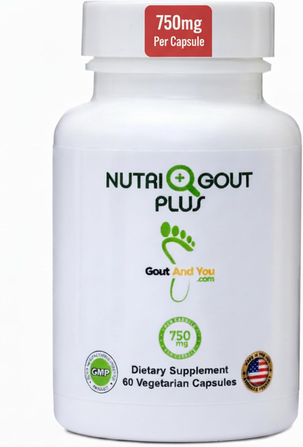NutriGout Plus – Uric Acid Support Premium Formula – 60 Vegetarian Capsules - görsel 1
