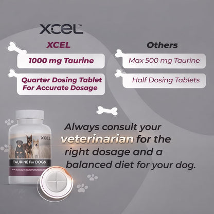 XCEL Taurine for Dogs 1000 mg with L-Carnitine, Quarter-Scored Tablets