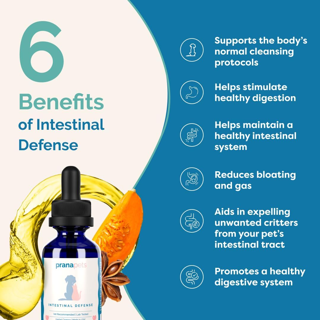 Intestinal Defence Supplement for Dogs & Cats | Herbal Formula for Digestive Health | 2-Pack - görsel 4