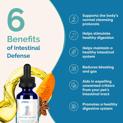 Intestinal Defence Supplement for Dogs & Cats | Herbal Formula for Digestive Health | 2-Pack