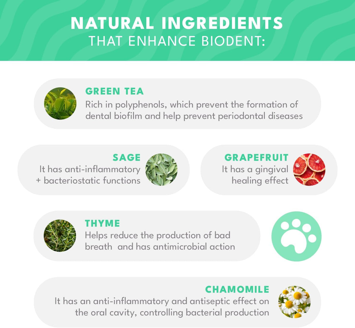 Natural PET Biodent Nutritional Supplement for Dogs – Chicken & Fine Herbs, 30 Sachets - görsel 5