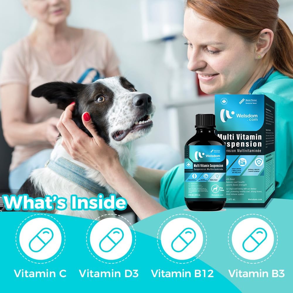 Pets Comprehensive Multivitamin Suspension for Dogs – 240mL - görsel 4