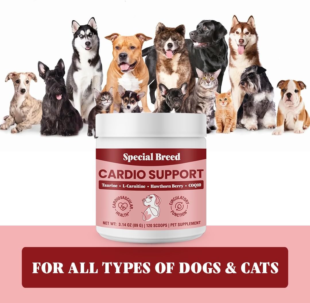 Special Breed Cardio Support for Dogs – Taurine, L-Carnitine, CoQ10 & Organic Hawthorn Berry Powder – 120 Servings - görsel 6