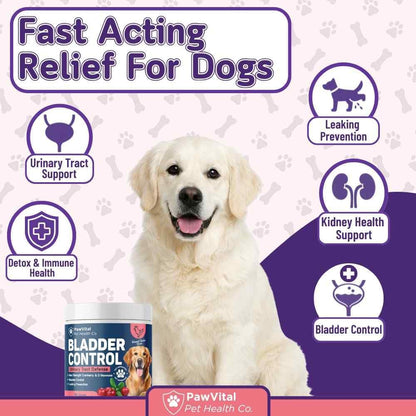 PawVital Dog UTI & Bladder Control Chews – Cranberry & D-Mannose Urinary Tract Support for Dogs, All-Natural Chicken Flavour, 90 Soft Chews