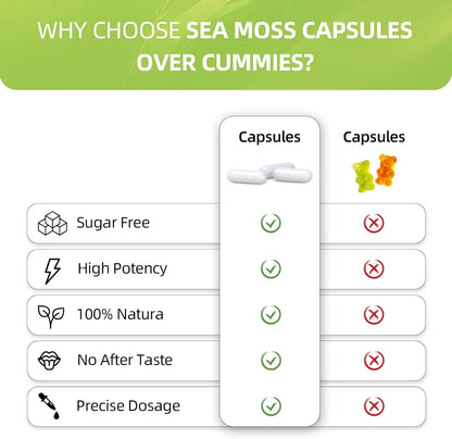 HEALOADING Sea Moss Capsules: Wildcrafted Organic Irish Sea Moss & Bladderwrack