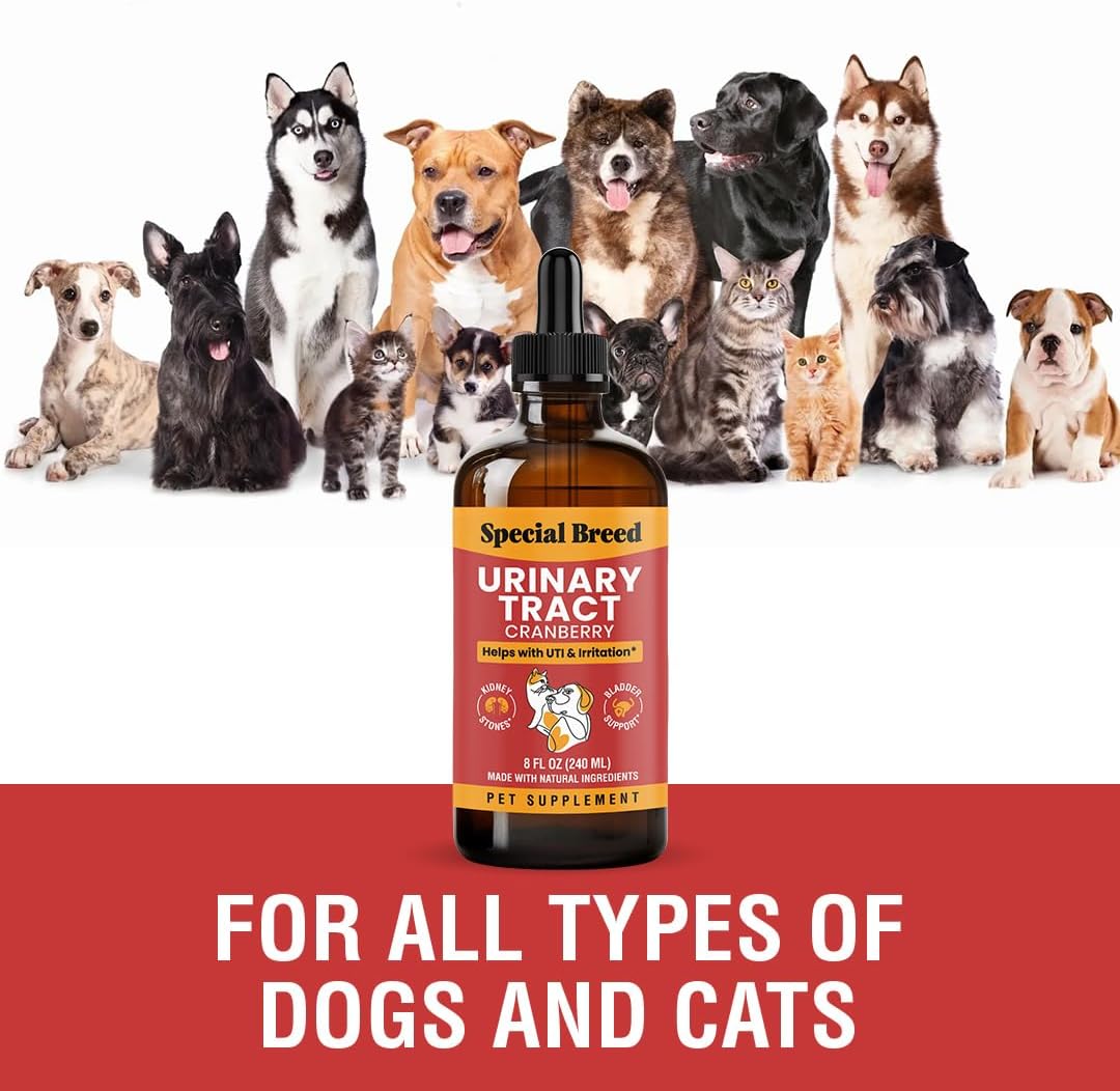Cat and Dog Urinary Tract Infection Treatment – Natural UTI Relief with Cranberry Drops – Kidney and Bladder Support – Helps Incontinence, Frequent Urination, Bladder Stones – Pet Renal Care Drops - görsel 4