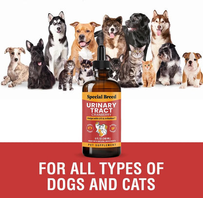 Cat and Dog Urinary Tract Infection Treatment – Natural UTI Relief with Cranberry Drops – Kidney and Bladder Support – Helps Incontinence, Frequent Urination, Bladder Stones – Pet Renal Care Drops