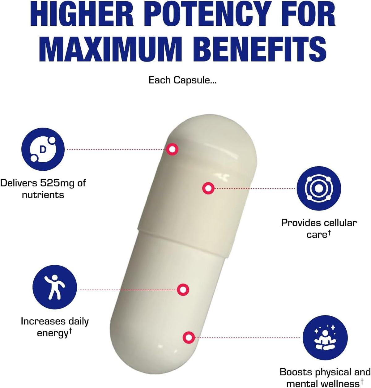 High Absorption Vitamin B3 Niacin (Flush Free) - Clinical Formula - 100 Servings - görsel 7