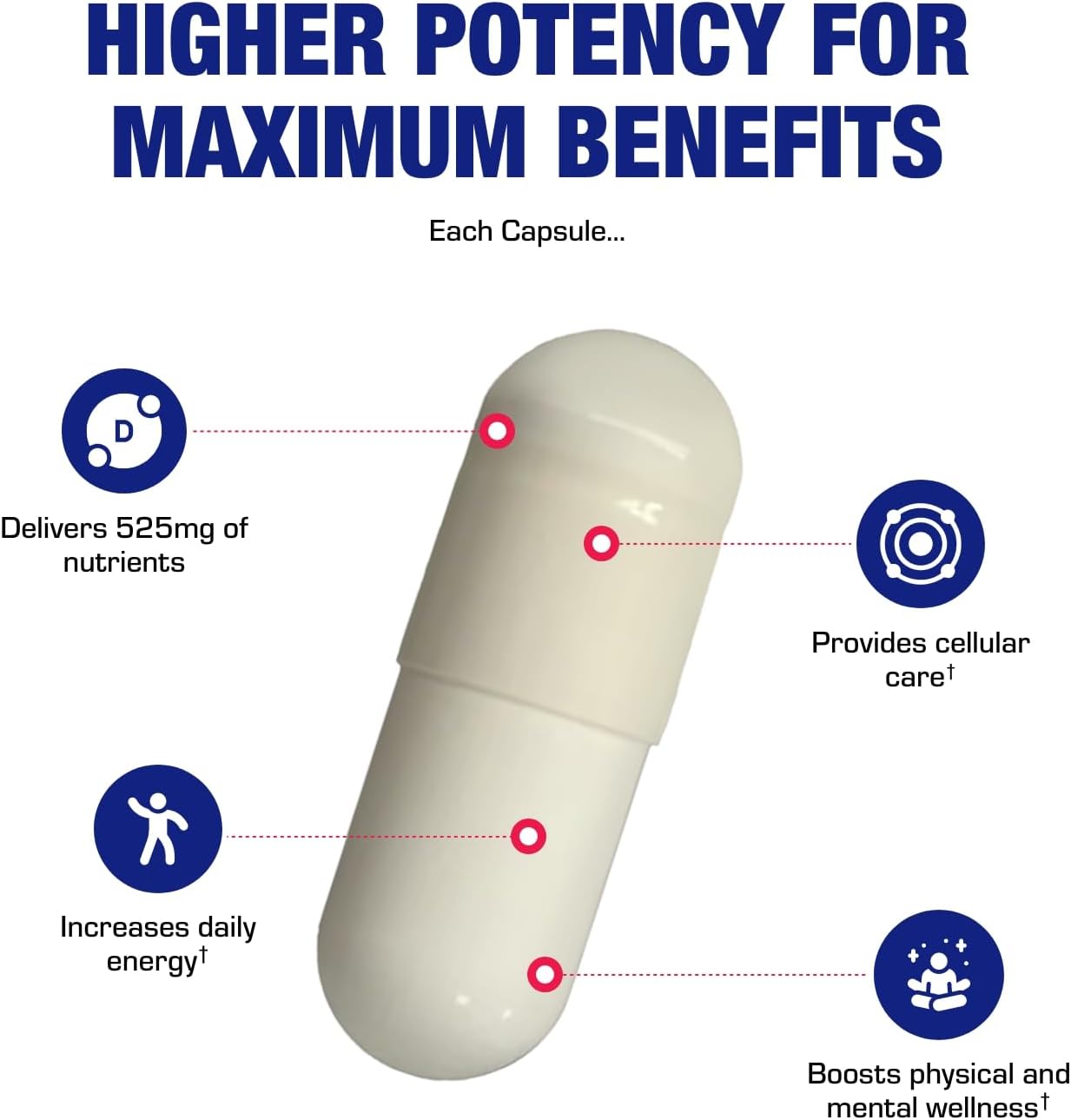 High Absorption Vitamin B3 Niacin (Flush Free) - Clinical Formula - 100 Servings - görsel 7