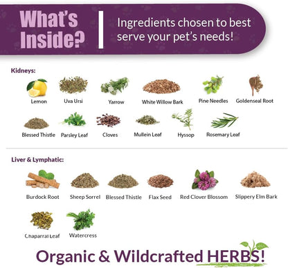 AMBER NATURALZ Internal Gold Detox Kit for Pets – Herbal Liver and Kidney Support