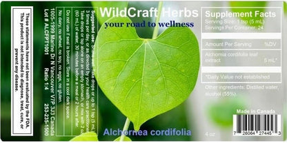 Alchornea Cordifolia Extract 118 ml