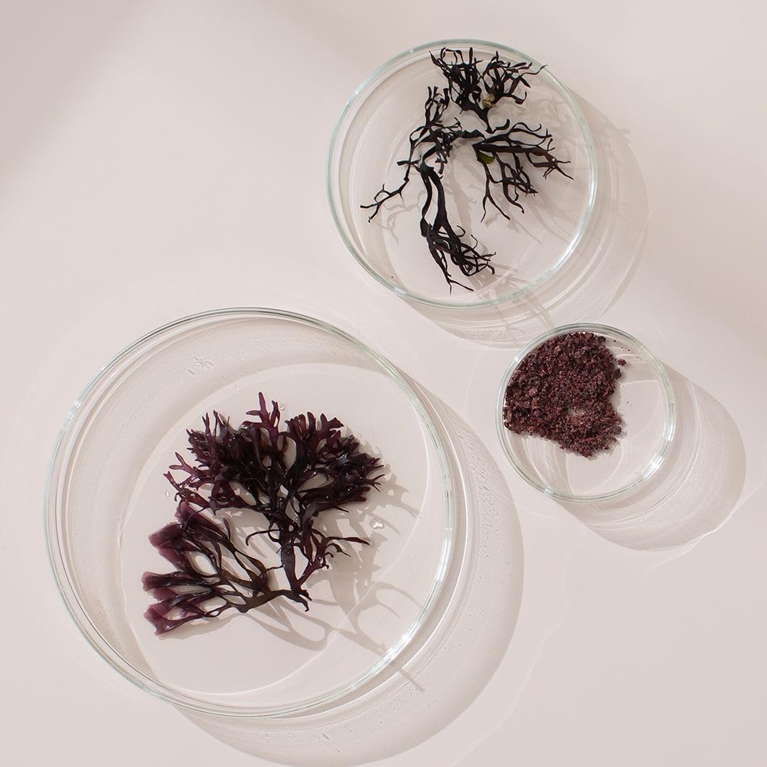 NEW NORDIC Irish Sea Moss Extract - Tri-Algae Complex with Norwegian Kelp and Wakame Seaweed - Vegan & Gluten-free - 30 Tablets - görsel 8