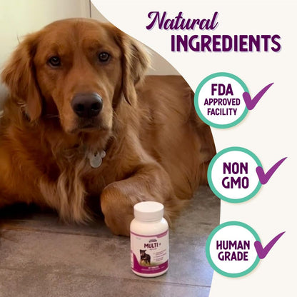 Health Extension Lifetime Multivitamin and – Minerals – Essential minerals like calcium, phosphorus, and zinc – Image 4