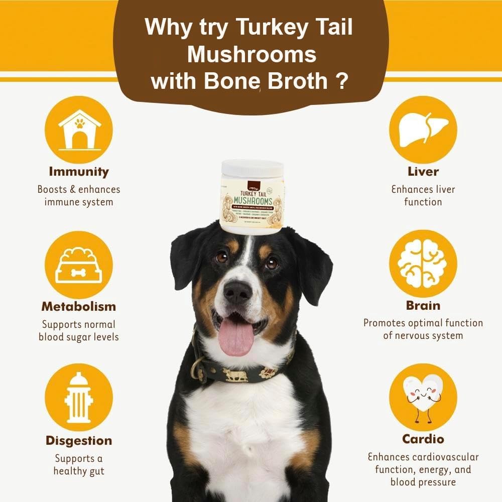 iHeartDogs Turkey Tail Mushroom for Dogs with Bone Broth and 6 Mushroom Blend Powder - görsel 6
