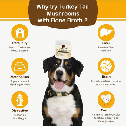 iHeartDogs Turkey Tail Mushroom for Dogs with Bone Broth and 6 Mushroom Blend Powder