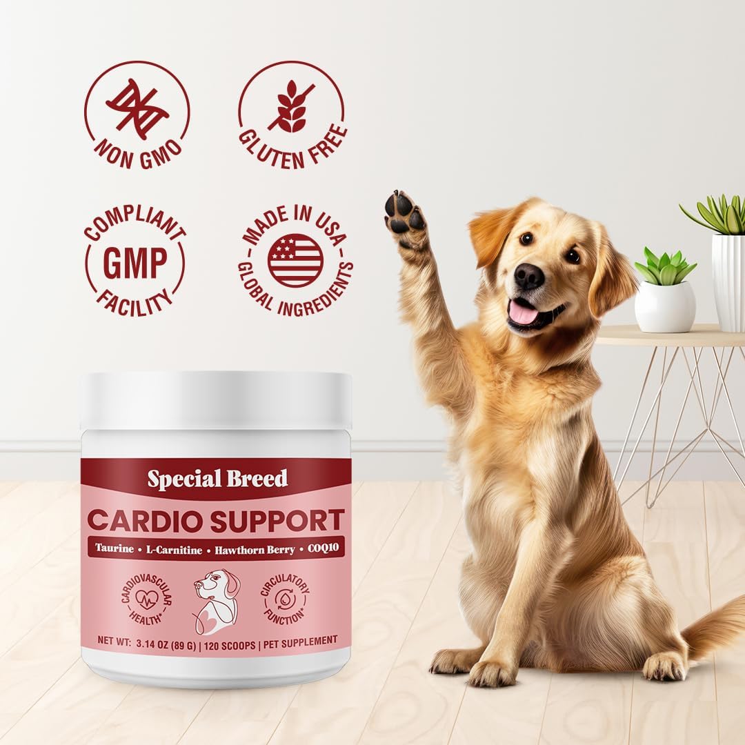 Special Breed Cardio Support for Dogs – Taurine, L-Carnitine, CoQ10 & Organic Hawthorn Berry Powder – 120 Servings - görsel 4