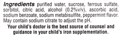 Lannett Ferrous Sulphate Drops 50 mL Iron Supplement Peppermint Flavour 50 mL per Bottle Pack of 6