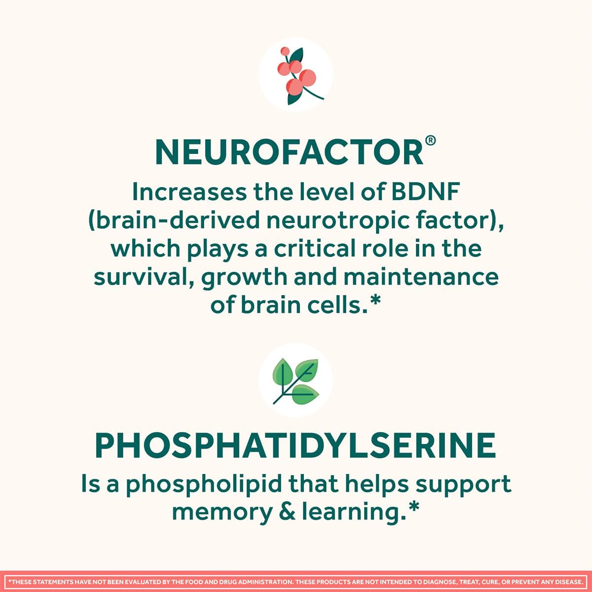 NEURIVA Original Brain Supplement – Memory, Focus & Concentration – 90 Capsules - görsel 6