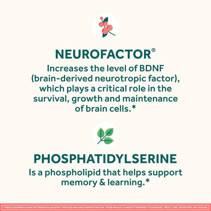 NEURIVA Original Brain Supplement – Memory, Focus & Concentration – 90 Capsules