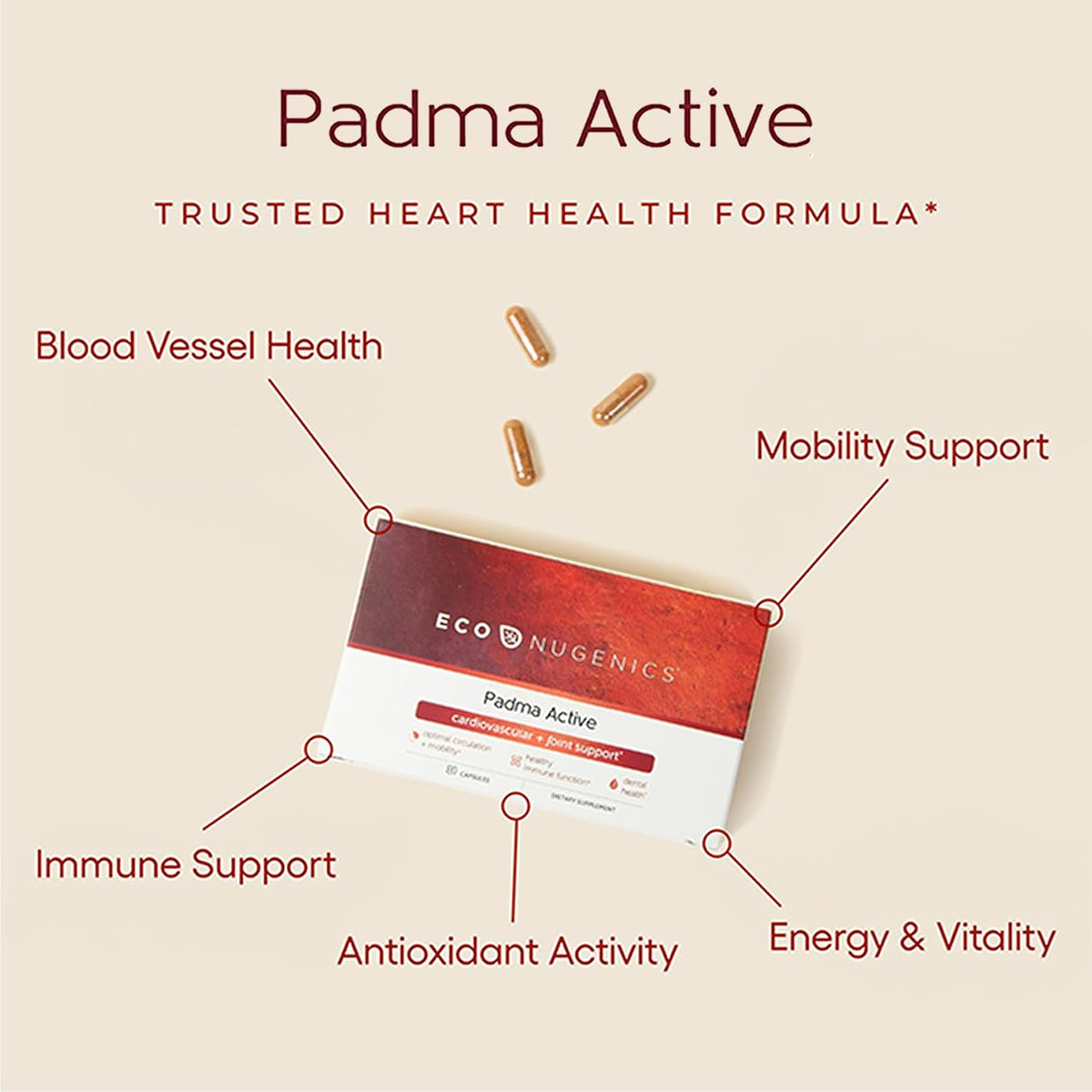 EcoNugenics Padma Active for Women & Men: Vitamin C Supplement for Collagen Formation, Energy Levels, and Immune System, Cellular & Antioxidant Support – Tibetan Recipe of Natural Herbs & Minerals - görsel 2