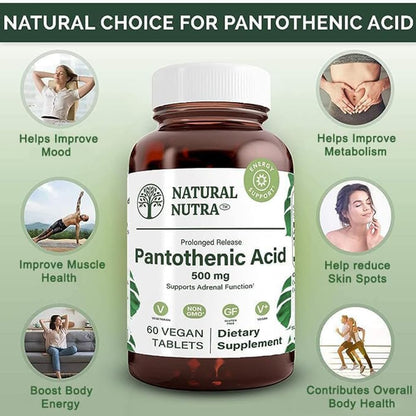 Natural Nutra Time Release Pantothenic Acid 500 mg - Vitamin B5 Supplement