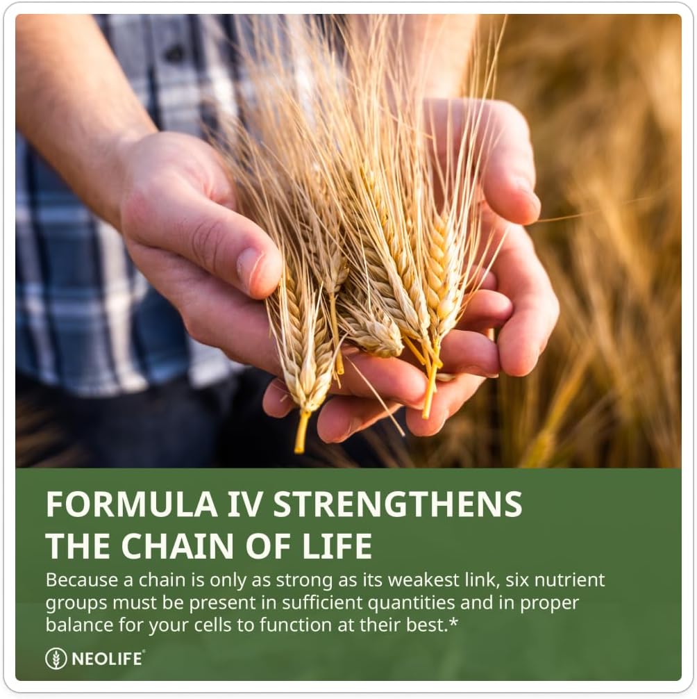 NeoLife Formula IV Soft gel capsule - Multivitamin & Multi-Mineral with TRE-EN-EN Grain Blend and Phyto Enzyme Blend - 120 Soft gel capsules - görsel 3