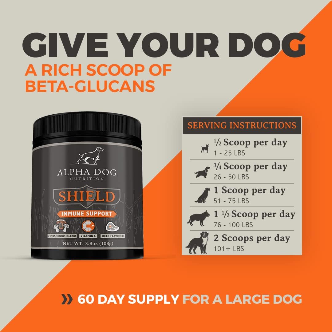 Shield Allergy Immune Support Supplement for Small Breed Dogs - 7 Mushroom Complex with Vitamin C, 108g - görsel 6