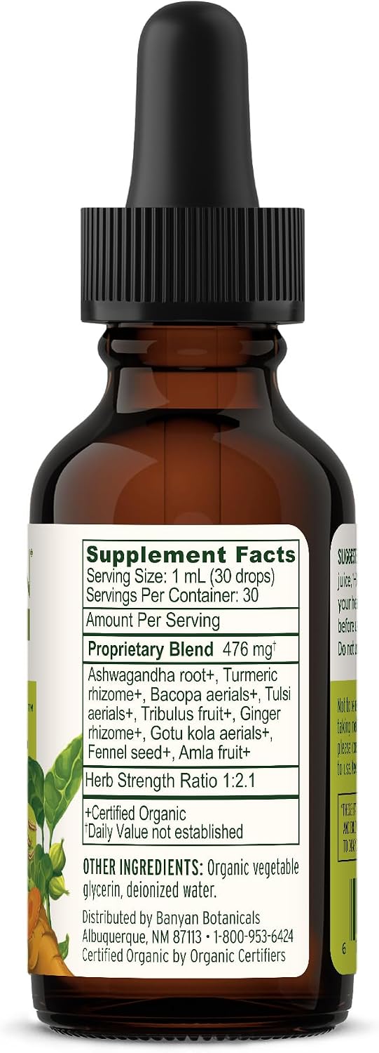 Banyan Botanicals I Travel Well Liquid Extract – Organic Fast-Acting Immune Support – 30 ml - görsel 9
