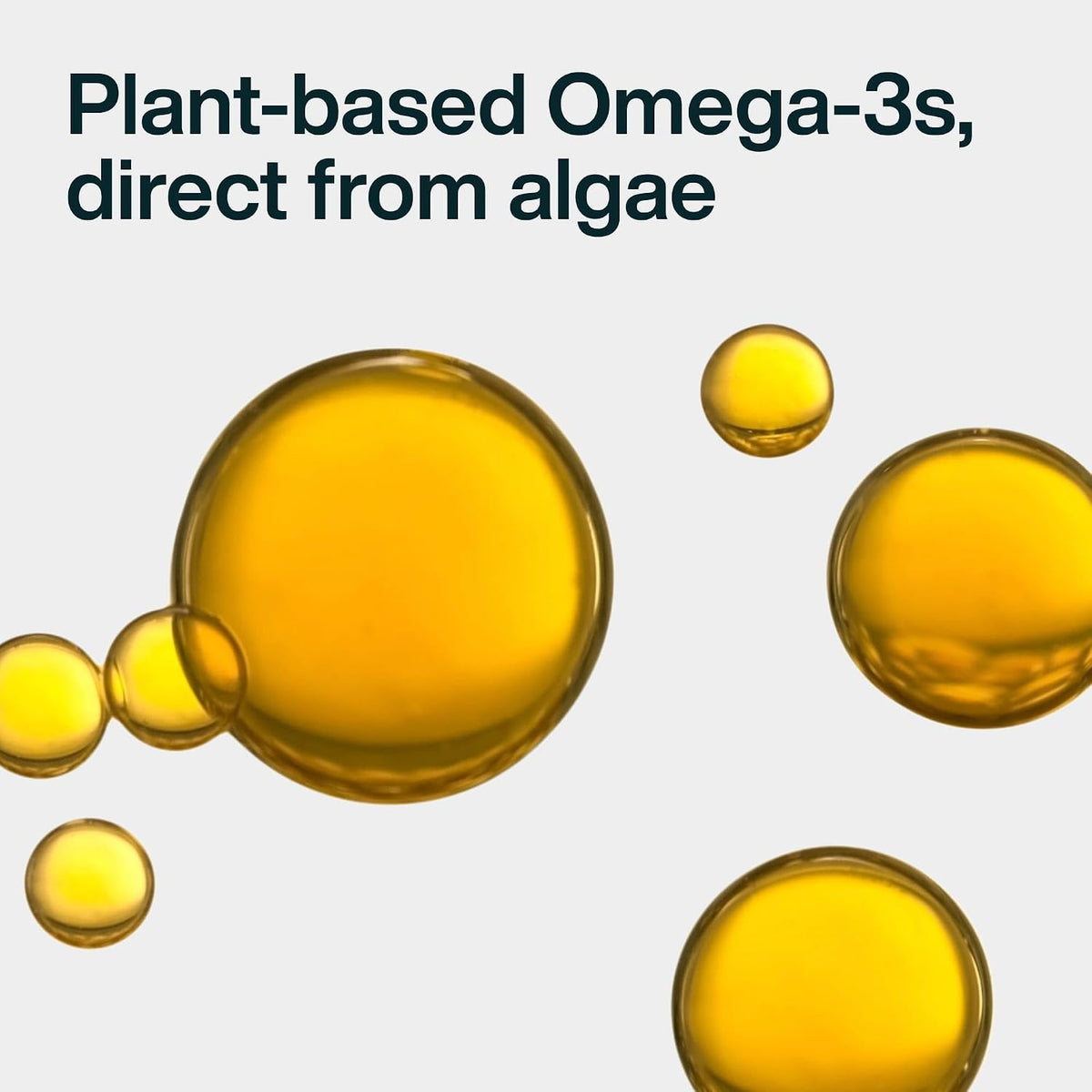 JustFoodForDogs Omega-3 for Dogs – Algae Oil, Human Grade, 237 ml - görsel 3