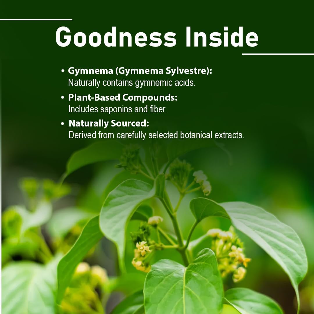 mi Nature Gymnema Sylvestre Tablets - 1000 mg, 90 Tablets - Vegan - görsel 3