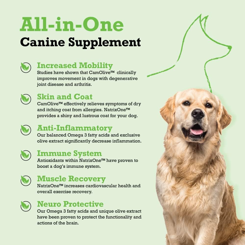 NatrixOne 100% Pure Camelina Oil for Dogs, 946 ml - görsel 2