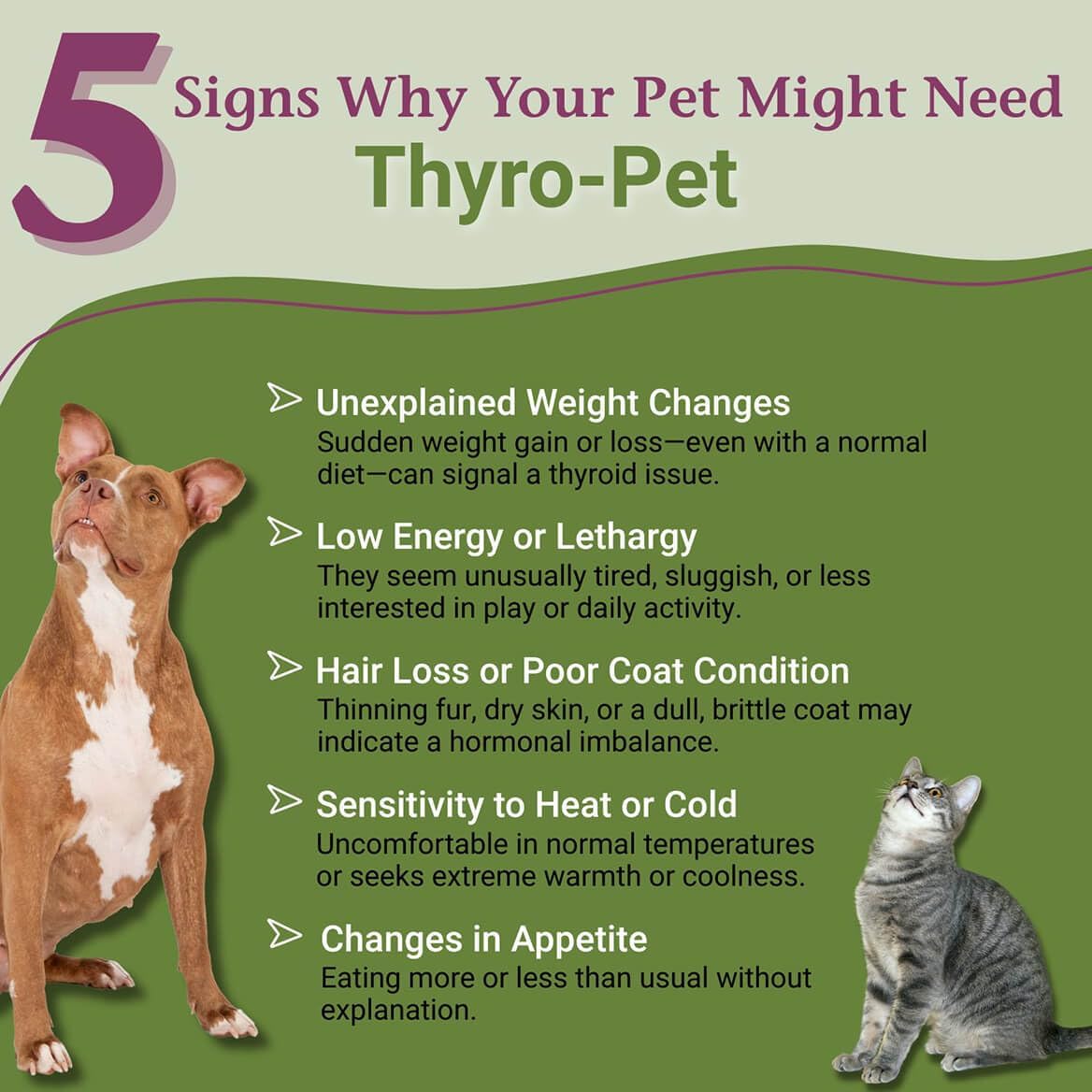 PetAlive Thyro-Pet – Herbal Thyroid Support Supplement for Dogs and Cats – 60 ml Liquid Tincture - görsel 2