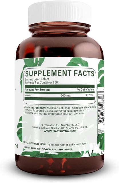 Natural Nutra Time-Release Niacin 500mg (Vitamin B3) – 100 Vegan Tablets
