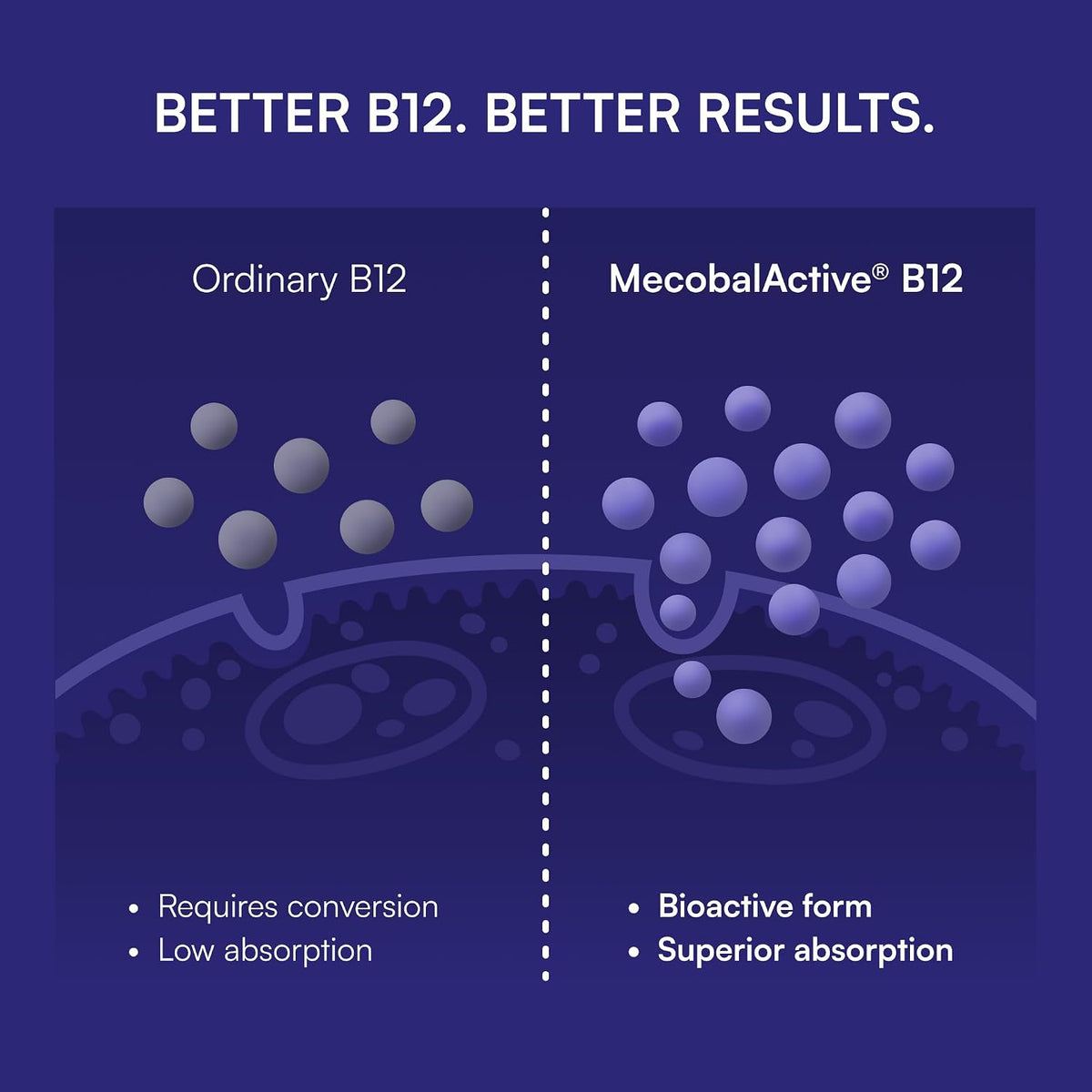 Purity Products Blueberry Probiotic B12 Energy Melt - Organic Blueberries, Methylcobalamin B12, 30 Melts - görsel 6