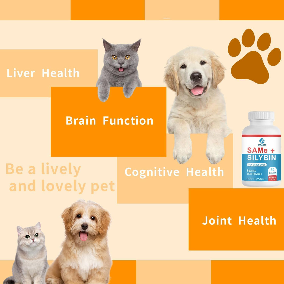 Jataoce SAMe + Silybin for Dogs – Liver & Brain Support Supplement - görsel 5