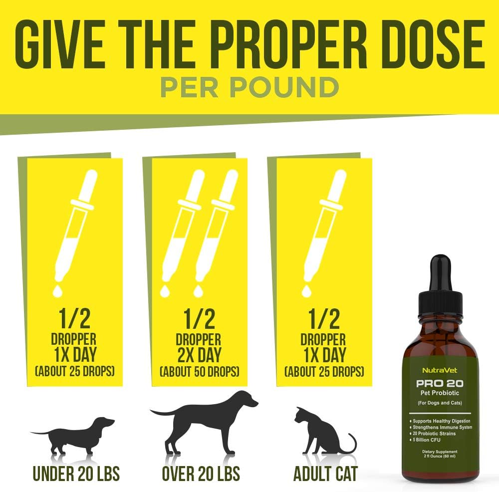 NutraVet Probiotics for Dogs and Cats - Liquid Digestive Enzyme Supplement with 20 Strains, 120 Servings - görsel 4