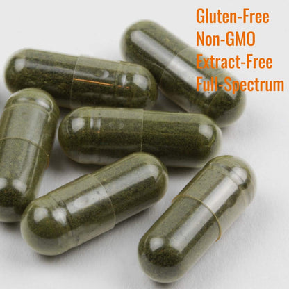 Immortalitea Gynostemma Capsules (Jiaogulan) – Whole Leaf Full Spectrum – 500mg, 100 Capsules