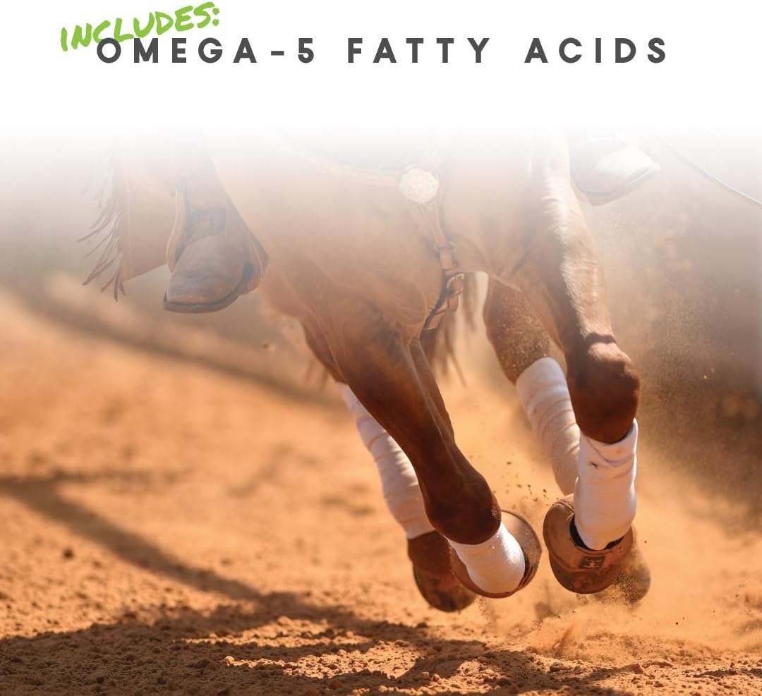 Manna Pro Cetyl-M Joint Supplement for Horses, Omega-5 Fatty Acids, Supports Mobility, Flexibility and Joint Health (5.1 kg) - görsel 4