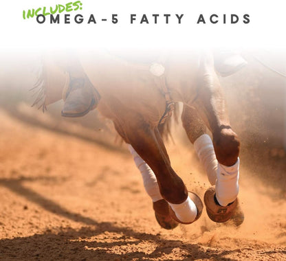 Manna Pro Cetyl-M Joint Supplement for Horses, Omega-5 Fatty Acids, Supports Mobility, Flexibility and Joint Health (5.1 kg)