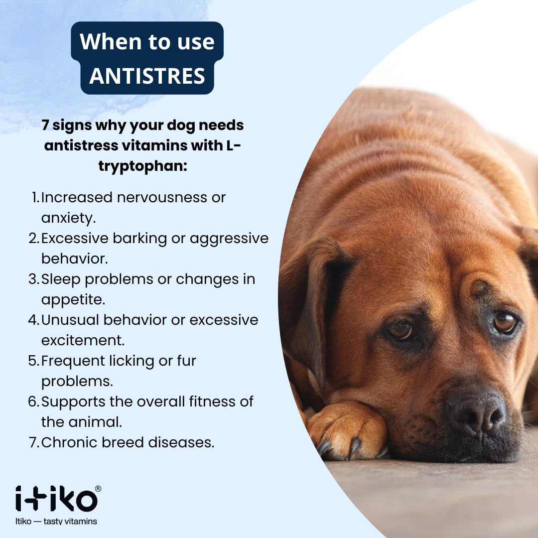 ITIKO Dog Calmers: Tasty Calming Supplement for Dogs with L-Tryptophan, Chamomile & Valerian Root - görsel 8
