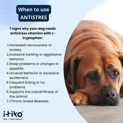 ITIKO Dog Calmers: Tasty Calming Supplement for Dogs with L-Tryptophan, Chamomile & Valerian Root