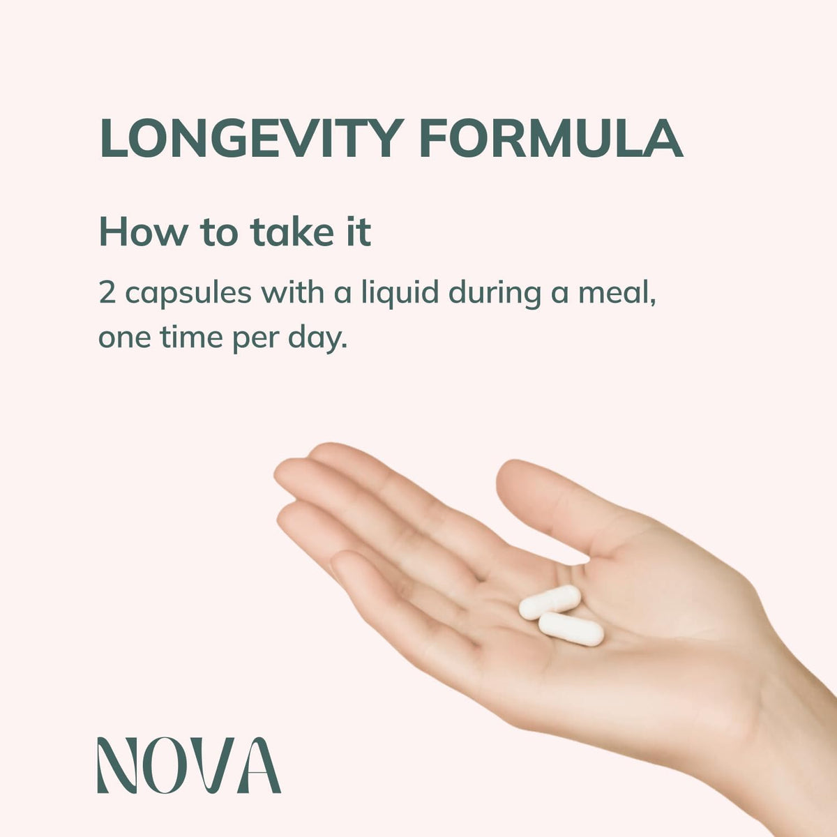 Nova Ultimate Cell Renewal Spermidine Supplement with Organic Wheat Germ, Zinc & Thiamine (60 Capsules) - görsel 4