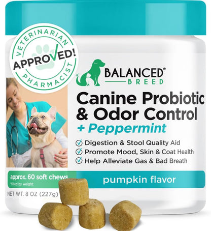 Dog Probiotics with Digestive Enzymes - Itchy Skin, Yeast, Gas, Diarrhoea Support - Made in USA, Non-GMO
