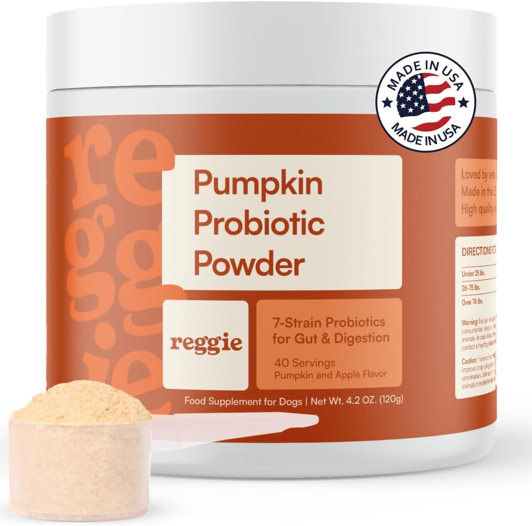 Reggie Pumpkin Probiotic Powder for Dogs - 7-Strain Probiotics + Pumpkin for Gut Health, Digestion & Stool Consistency | Natural Dog Digestive Supplement | Vet-Approved & Made in USA | 40 Scoops - görsel 1